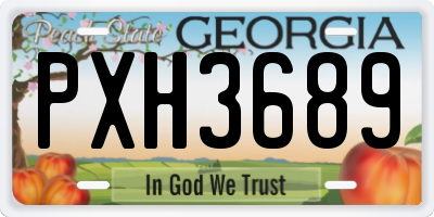 GA license plate PXH3689