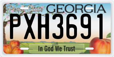 GA license plate PXH3691