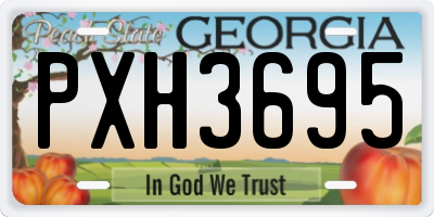 GA license plate PXH3695