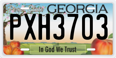 GA license plate PXH3703