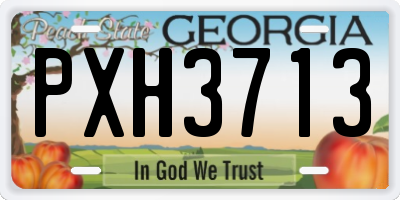 GA license plate PXH3713