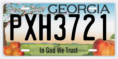 GA license plate PXH3721