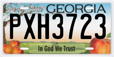 GA license plate PXH3723