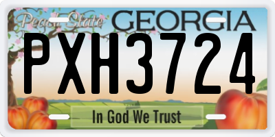 GA license plate PXH3724