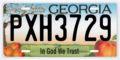 GA license plate PXH3729