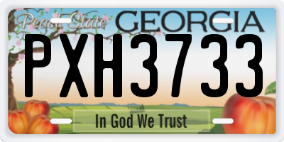 GA license plate PXH3733