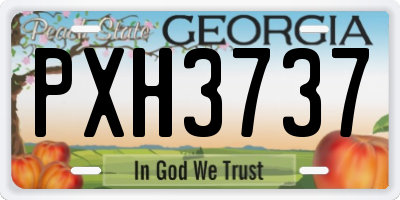 GA license plate PXH3737