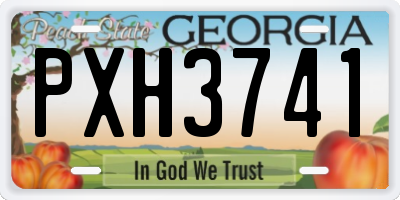 GA license plate PXH3741