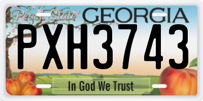 GA license plate PXH3743