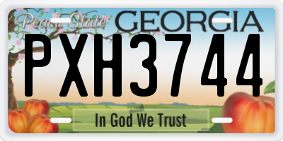 GA license plate PXH3744