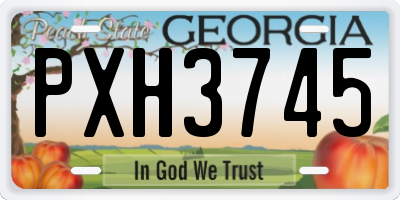 GA license plate PXH3745