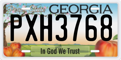 GA license plate PXH3768
