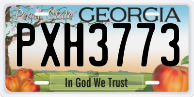 GA license plate PXH3773