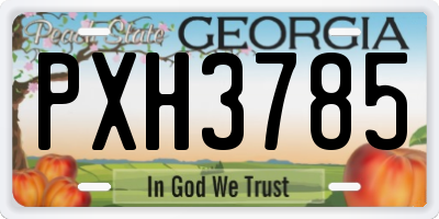GA license plate PXH3785