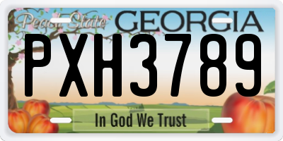 GA license plate PXH3789