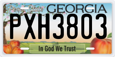 GA license plate PXH3803