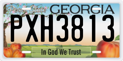 GA license plate PXH3813