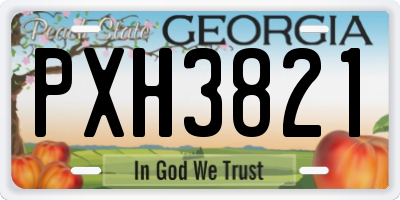 GA license plate PXH3821
