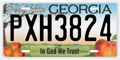 GA license plate PXH3824