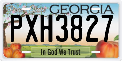GA license plate PXH3827