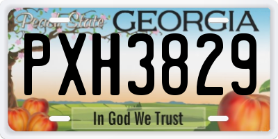 GA license plate PXH3829