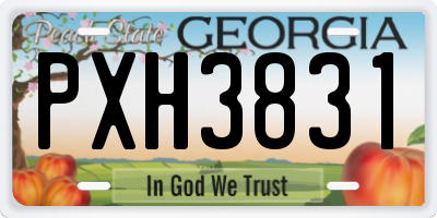 GA license plate PXH3831