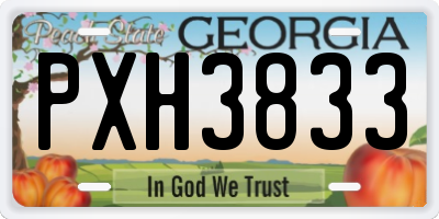 GA license plate PXH3833