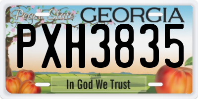 GA license plate PXH3835