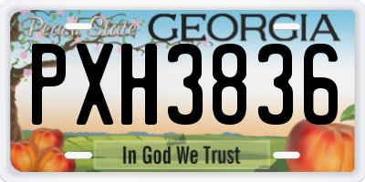 GA license plate PXH3836