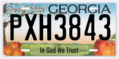 GA license plate PXH3843