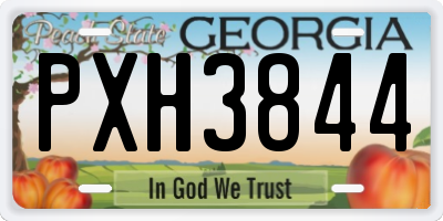 GA license plate PXH3844