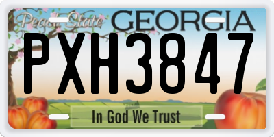 GA license plate PXH3847