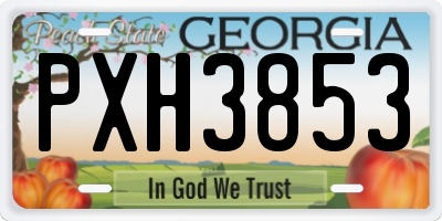 GA license plate PXH3853