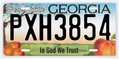 GA license plate PXH3854
