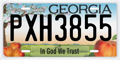 GA license plate PXH3855