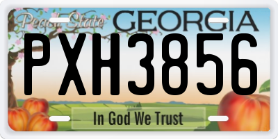 GA license plate PXH3856