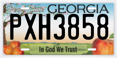 GA license plate PXH3858