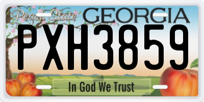 GA license plate PXH3859