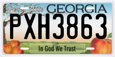 GA license plate PXH3863
