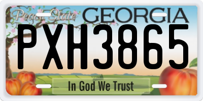 GA license plate PXH3865