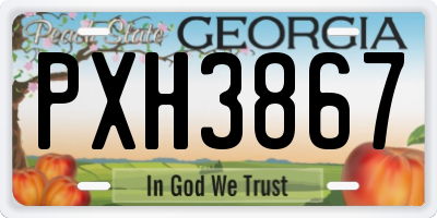 GA license plate PXH3867