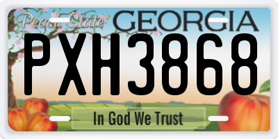 GA license plate PXH3868
