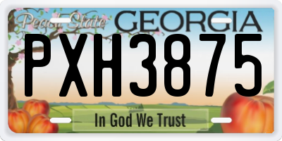 GA license plate PXH3875