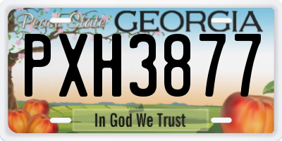 GA license plate PXH3877