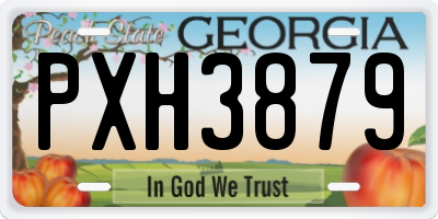 GA license plate PXH3879