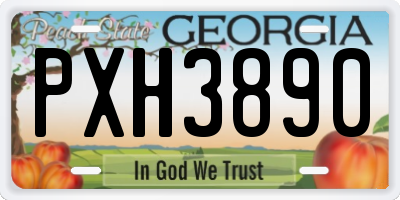 GA license plate PXH3890