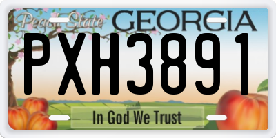GA license plate PXH3891