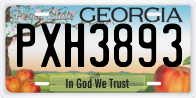 GA license plate PXH3893