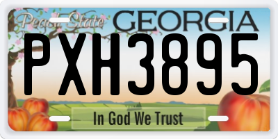 GA license plate PXH3895