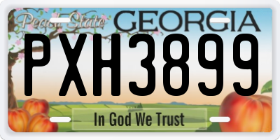 GA license plate PXH3899